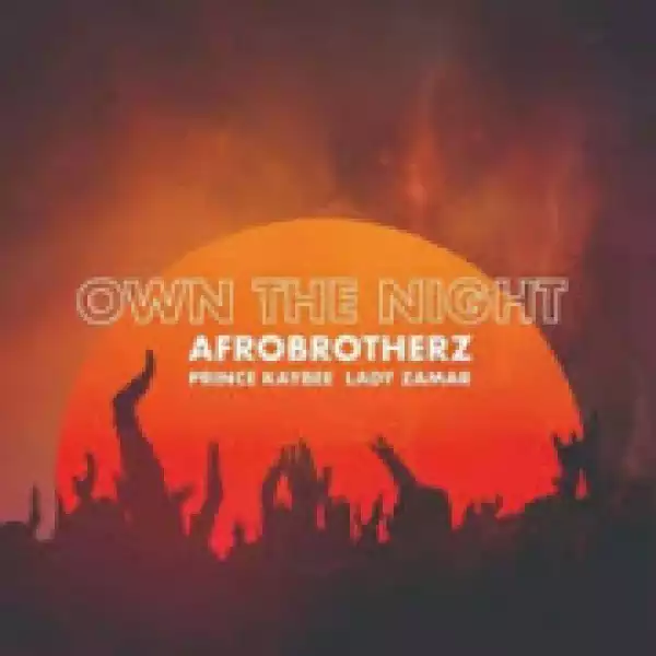 Afro Brotherz - Own The Night (Instrumental Mix)